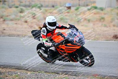 media/Apr-26-2025-2WTD (Sat) [[797c348bd3]]/C Group/240pm/